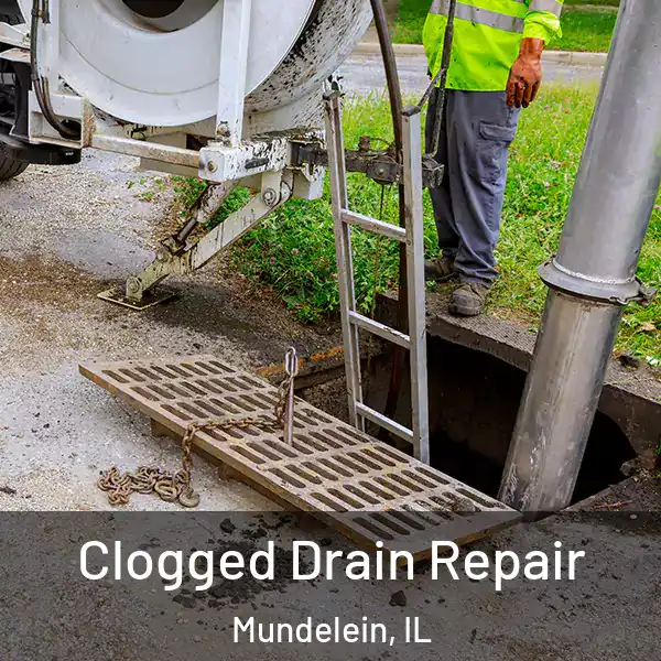  Clogged Drain Repair Mundelein, IL