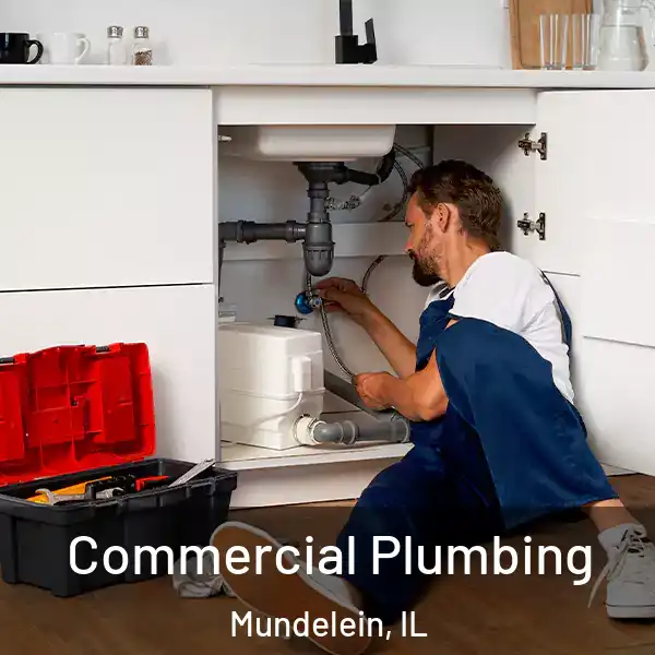  Commercial Plumbing Mundelein, IL