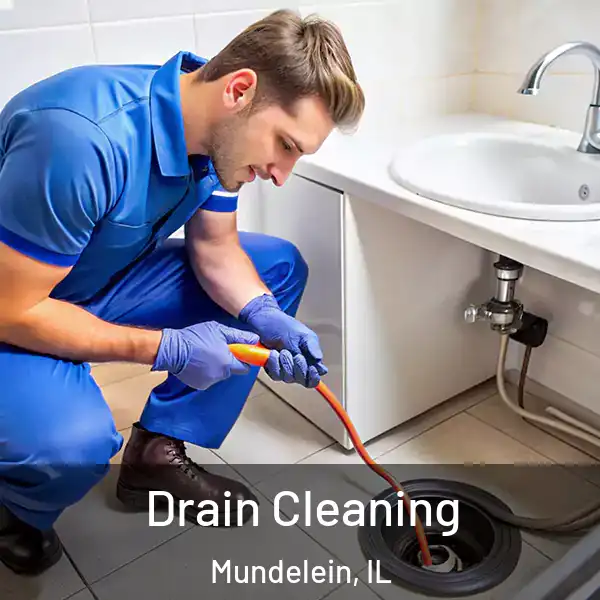  Drain Cleaning Mundelein, IL