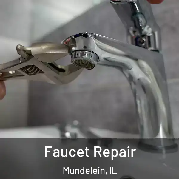  Faucet Repair Mundelein, IL