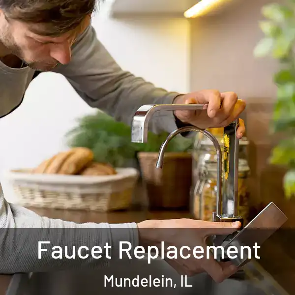 Faucet Replacement Mundelein, IL