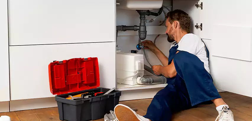 Reliable Garbage Disposal Replacement Services in Mundelein, IL