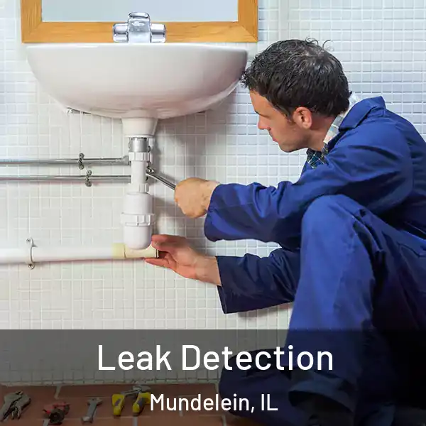  Leak Detection Mundelein, IL