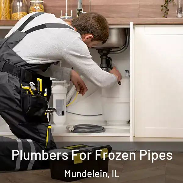  Plumbers For Frozen Pipes Mundelein, IL