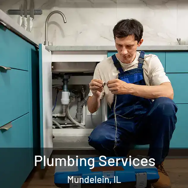  Plumbing Services Mundelein, IL