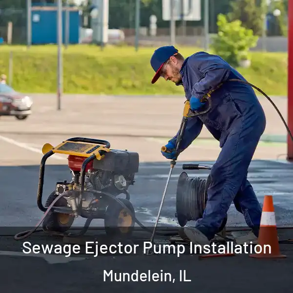  Sewage Ejector Pump Installation Mundelein, IL