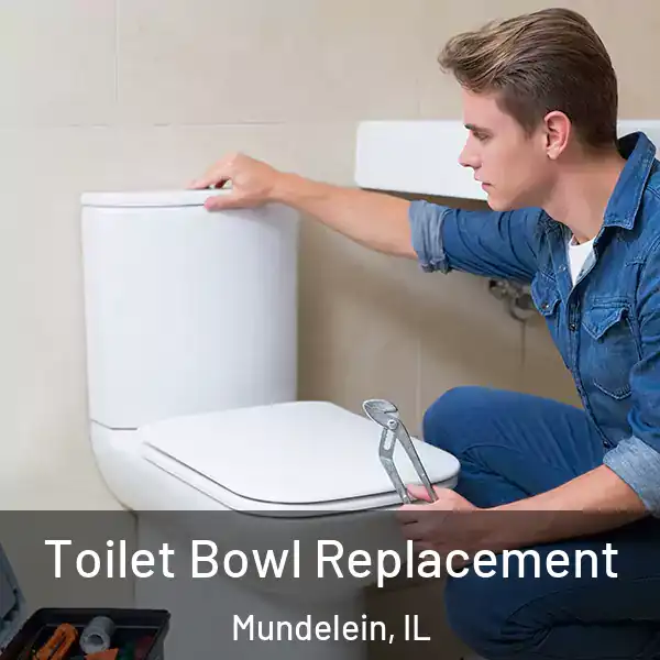  Toilet Bowl Replacement Mundelein, IL