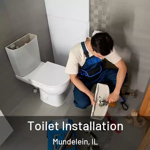  Toilet Installation Mundelein, IL