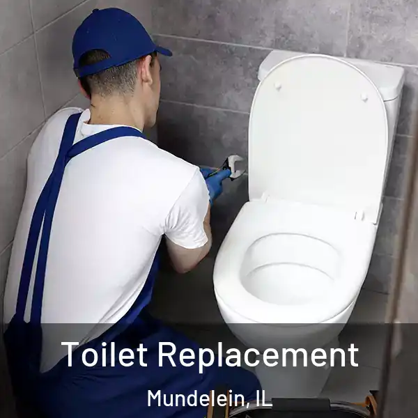  Toilet Replacement Mundelein, IL