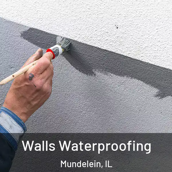 Walls Waterproofing Mundelein, IL